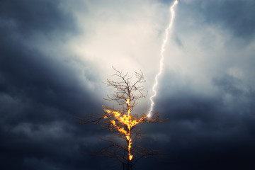 Blitz schlägt bei Unwetter in ein Baum und fängt Feuer - obrazy, fototapety, plakaty