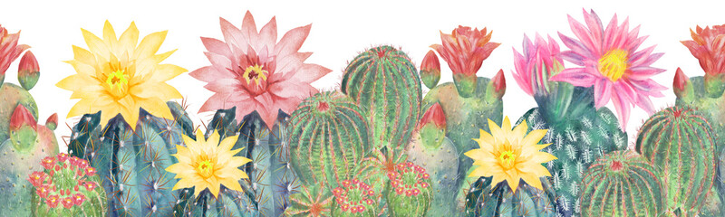 Watercolor seamless border cactus pattern. A border of flowers. © Vladimir Savin