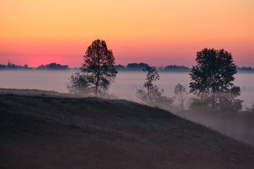 sunrise in the fog