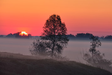 sunrise over the field
