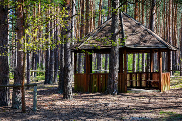 Round roof shelter in woodlands. Forest tourist infrastructure between trees. Sunlight, sunny day, outdoors. Zlobek, Sobibor Landscape Park, Poland, Europe.