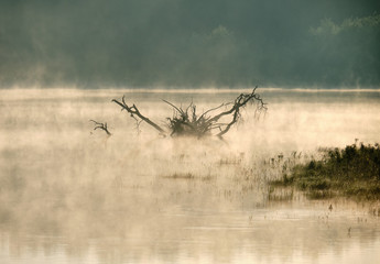 morning mist over the river