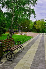 park bench in the park