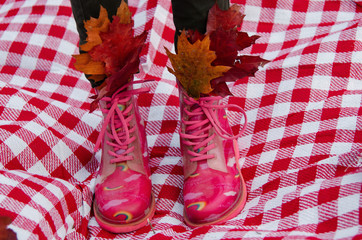 autumn still life