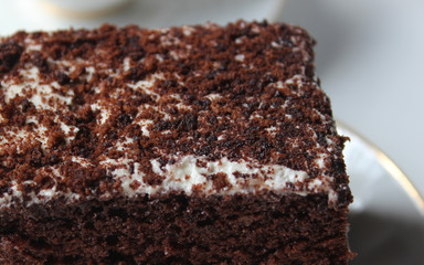 A slice of chocolate cake with white cream with a curl on a light background.