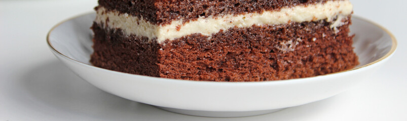 Banner. A slice of chocolate cake with white cream with a curl on a light background.