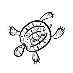 Coloring book. A hand-drawn water turtle. Monochrome Simple doodle vector illustration