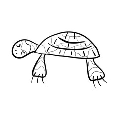 Coloring book. A hand-drawn water turtle. Monochrome Simple doodle vector illustration