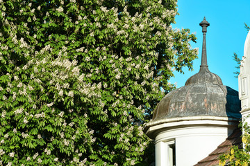 roof and facade of ancient architecture in spring time