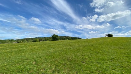 green fields and cloudy blue skies