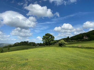 Fototapeta na wymiar green field and blue sky cotswolds england