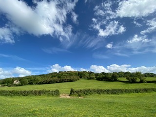 Obraz premium green field and blue sky cotswolds