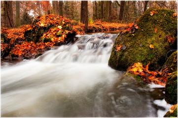 Fototapeta na wymiar Scenic View Of Waterfall In Forest