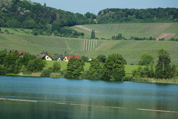 See im Wald