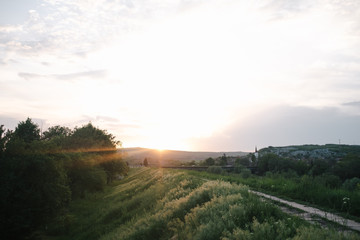beautiful sunset landscape in urban park