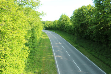 Fototapeta na wymiar Autobahn im Wald