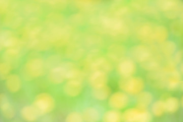 Summer concept. Yellow defocus background. sunny day. Blurred background of dandelion field. Meadow of bright yellow dandelions, green grass with bokeh effect. Design element.