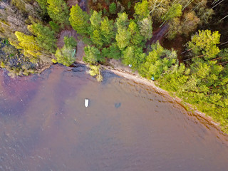 The shore of the lake with sandy ground and pine trees on the shore