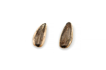 Organic sunflower seeds isolated on white background