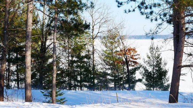 Two footage clips of snowmobiles speeding on a groomed trail past a beautiful frozen lake in Minnesota on a sunny winter day.