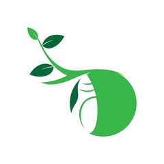 cocoon logo vector design