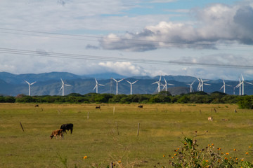 Energ&iacute;as limpias en Oaxaca