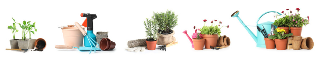 Set of different seedlings and gardening tools on white background. Banner design