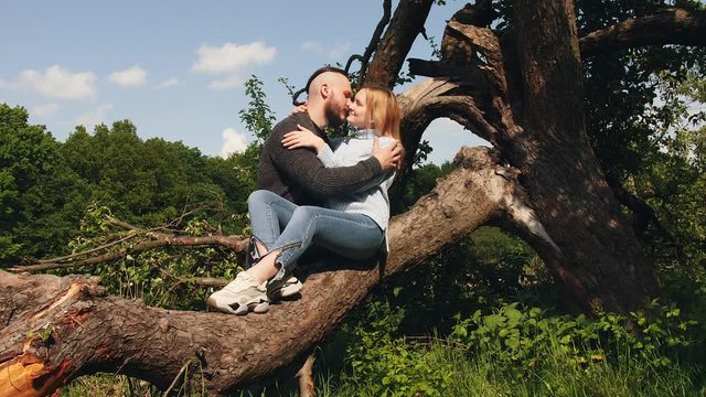 A couple is sitting on an old tree branch. The woman and man are appreciating each other and smiling. The happy lovers are alone in nature.
