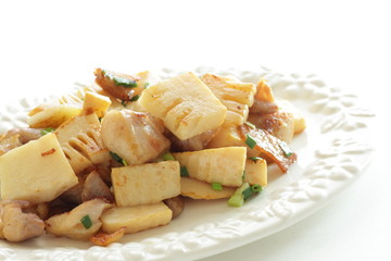 Chicken and bamboo shoots stir fried with copy space 