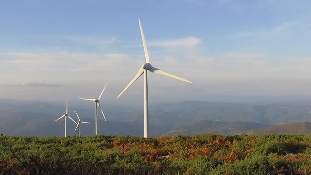 wheat field with eolic turbines wind renewable energy farm slow motion	
