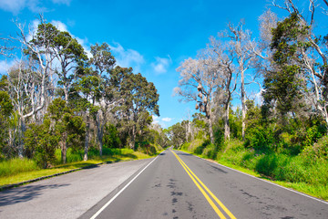 キラウエア火山　ハワイ島　2014年撮影　火山