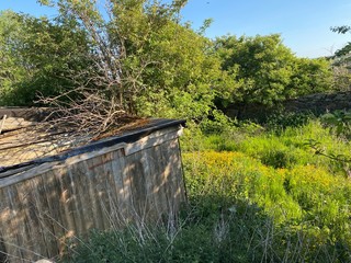 Old derelict shed, surrounded by heavy grass, flowers and trees, a late spring day in, Shibden...