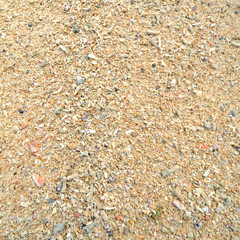 Corals stones shells sticks and sand on the beach