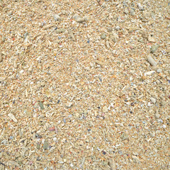 Corals stones shells sticks and sand on the beach