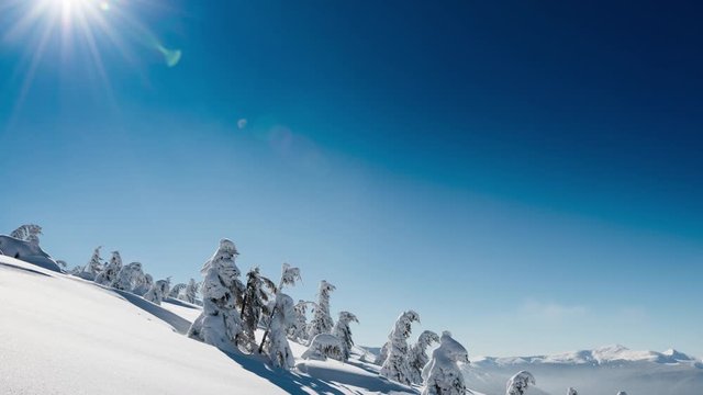 Beauty winter sun nature exploration ,UHD 4k timelapse, photographed on Nikon D800 camera.