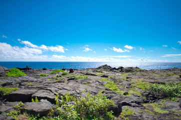 Fototapeta na wymiar カラエ岬（サウス・ポイント）周辺の景色　ハワイ島　ハワイ・ボルケーノズ・ナショナル・パーク