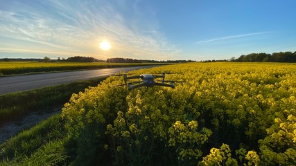 Drone over rapeseed field in Sweden