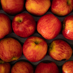 Verduras