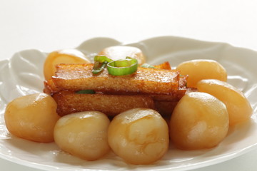 Japanese food, konnyaku and fish cake on dish with copy space