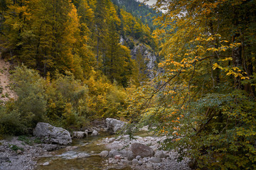 autumn in the mountains