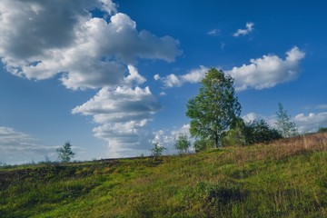 Landscape early spring trees with open leaves against the sky and white clouds.