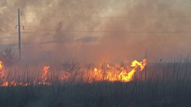 burns dry grass in sky smoke. firefighters car