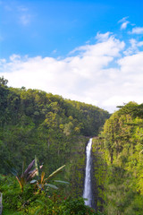 アカカ滝州立公園　アメリカハワイ州ハワイ島の滝