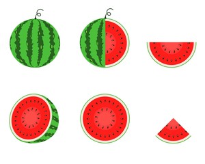 Set of Fresh, Half, Sliced, Leaves, grains Watermelon Isolated on White Background. Watermelon Package.  Vector Design Illustration