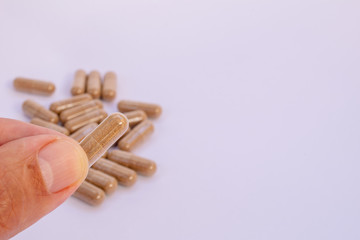 fingers holding herbal capsule, nutritional supplement, vitamin pill, herbal medicine on white background. Tribullus Terrestris