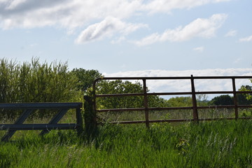 Farm Field Gate