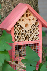Beautiful pink insect house in a ginkgo tree