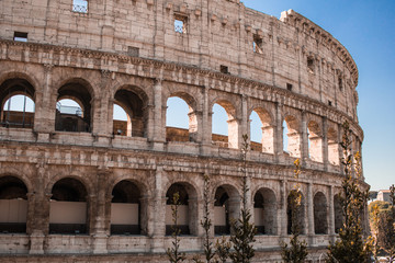 Fototapeta premium colosseum in rome italy