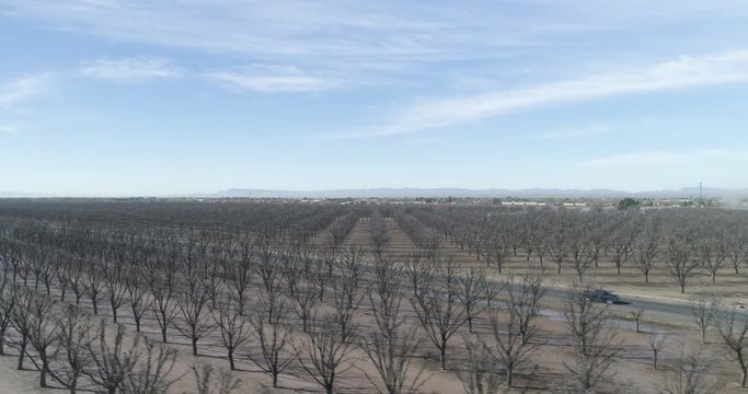 Tracking cyclist riding through Pecan farms, Texas