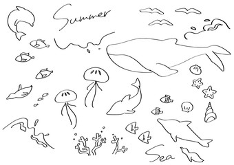 上品な海の生き物　線画　イラストセット